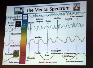 The Mental Spectrum - image Dr Christian Torp