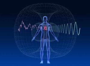 human magnetic field around heart