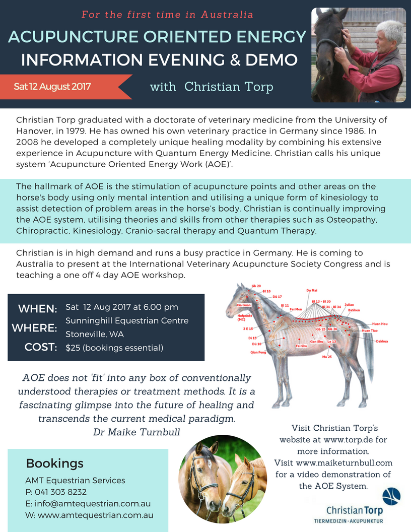 ACUPUNCTURE ORIENTED ENERGY Info Evening Flyer
